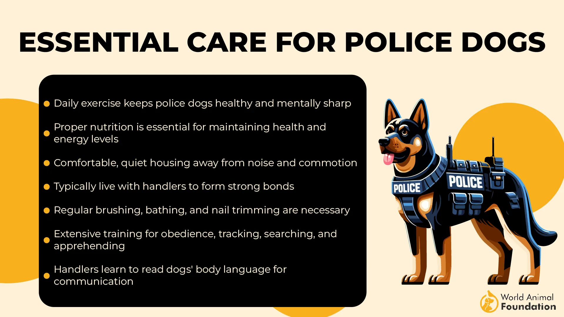 Essential Care for Police Dogs-01