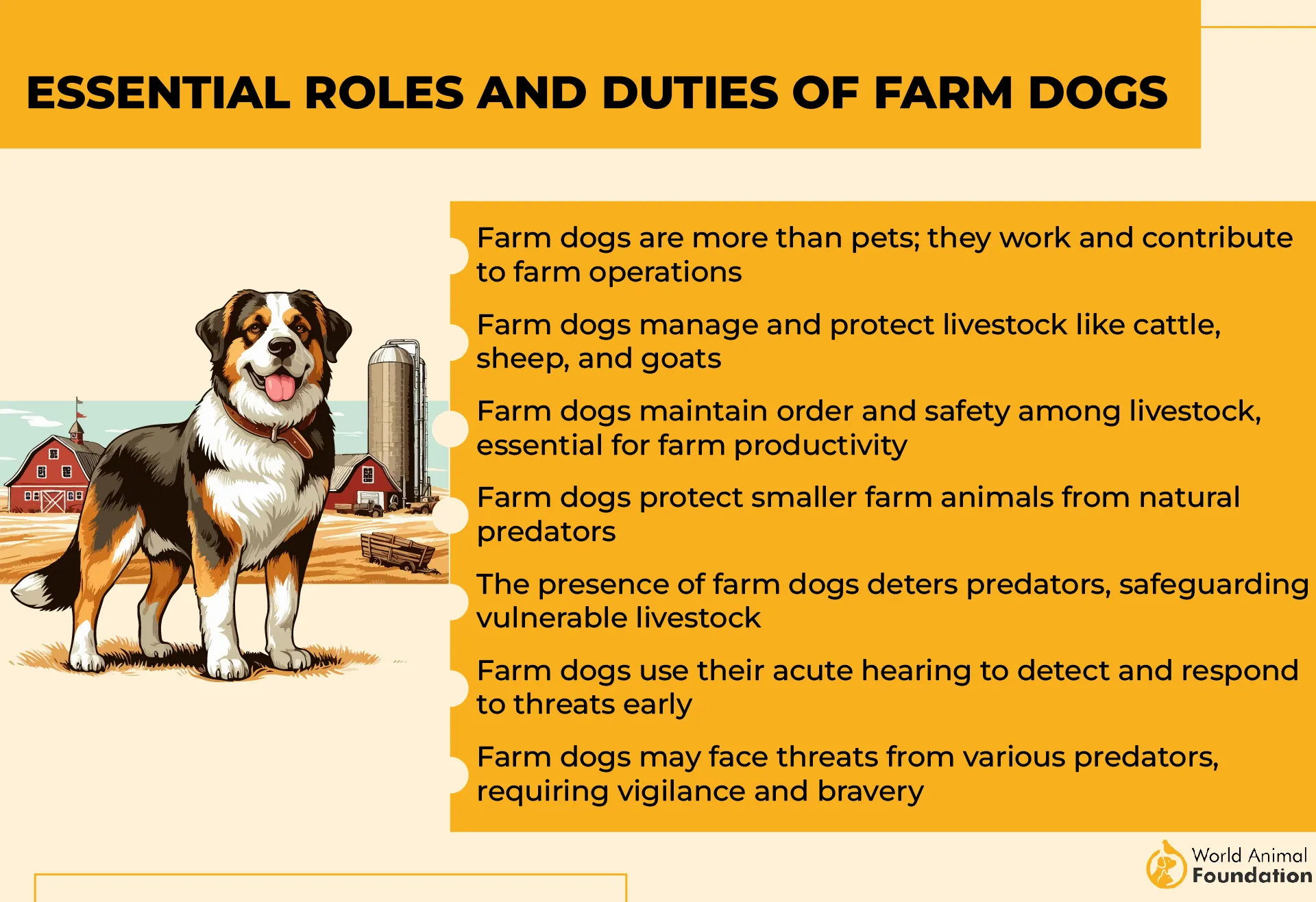Essential Roles and Duties of Farm Dogs-01