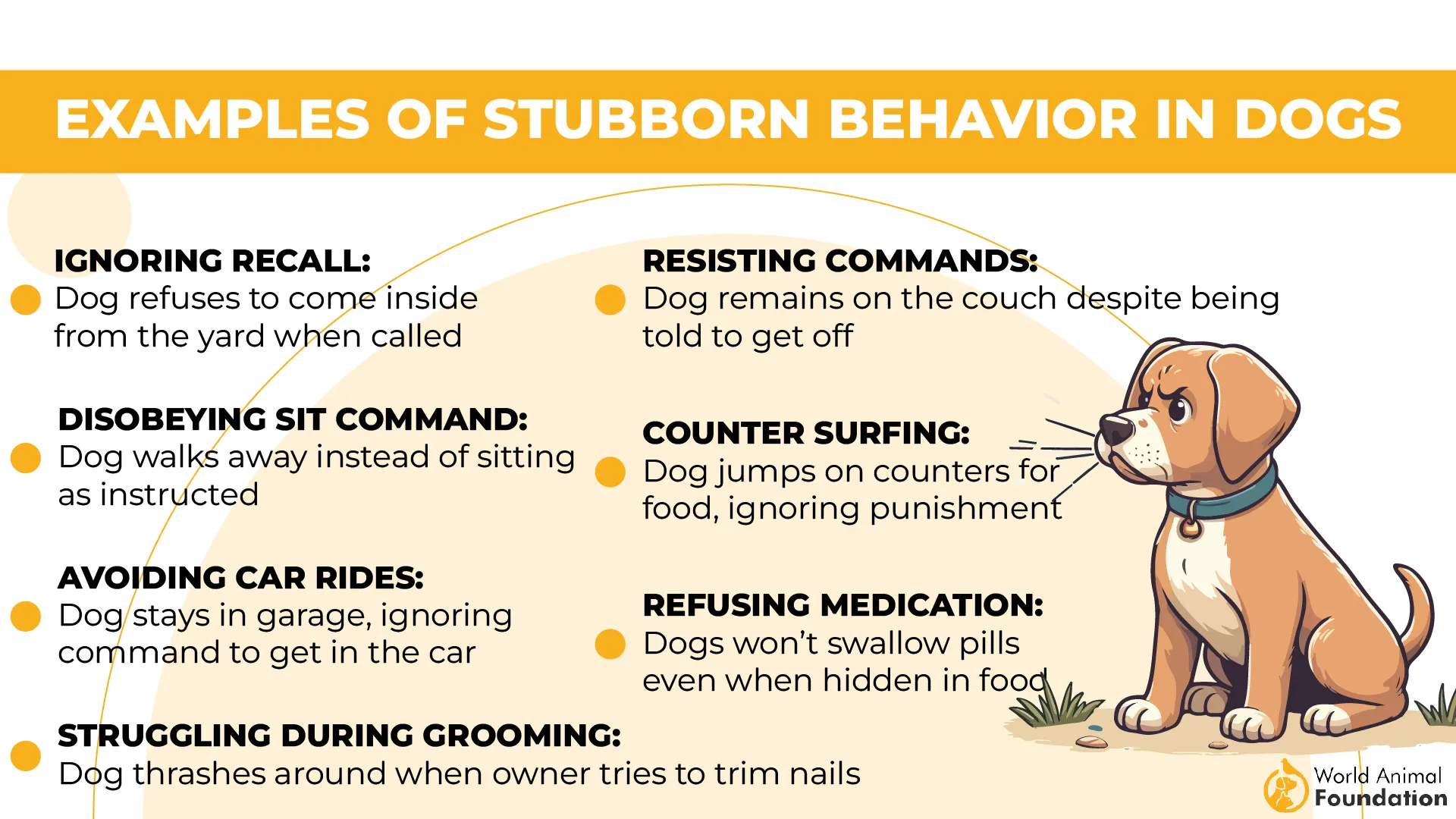 Examples of Stubborn Behavior in Dogs-01