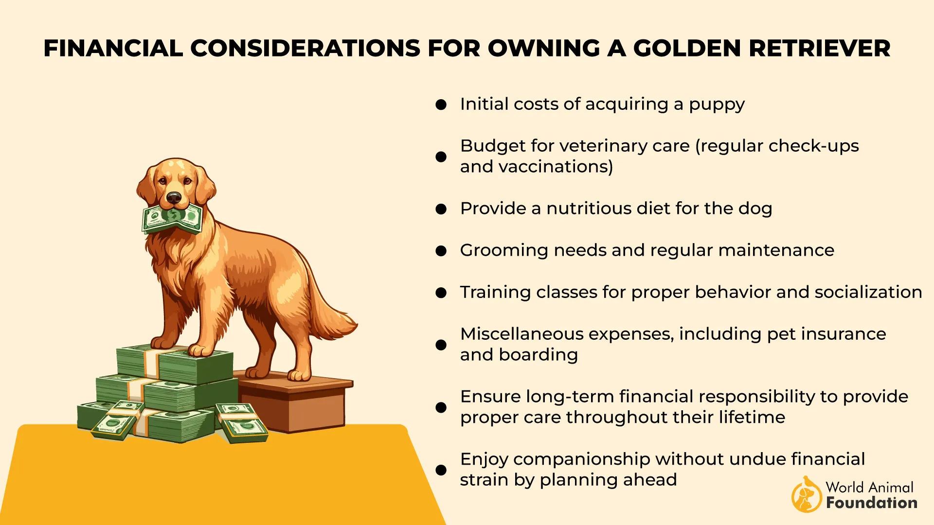 Financial Considerations for Owning a Golden Retriever-01