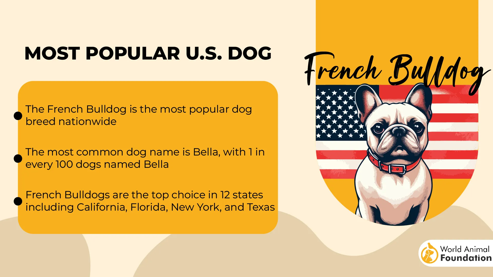 French Bulldog Most Popular U.S. Dog-01