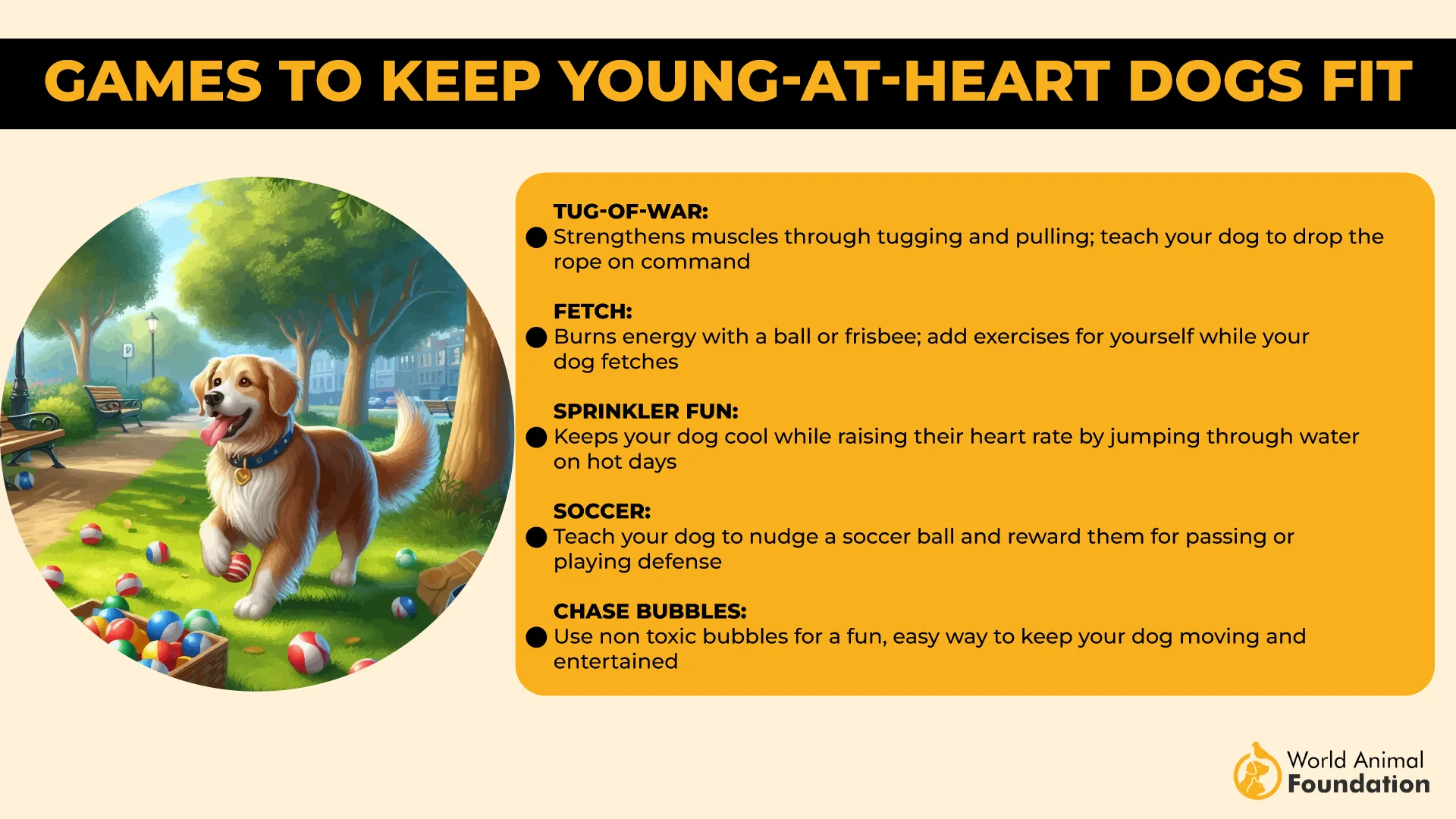 Games to Keep Young-at-Heart Dogs Fit-01