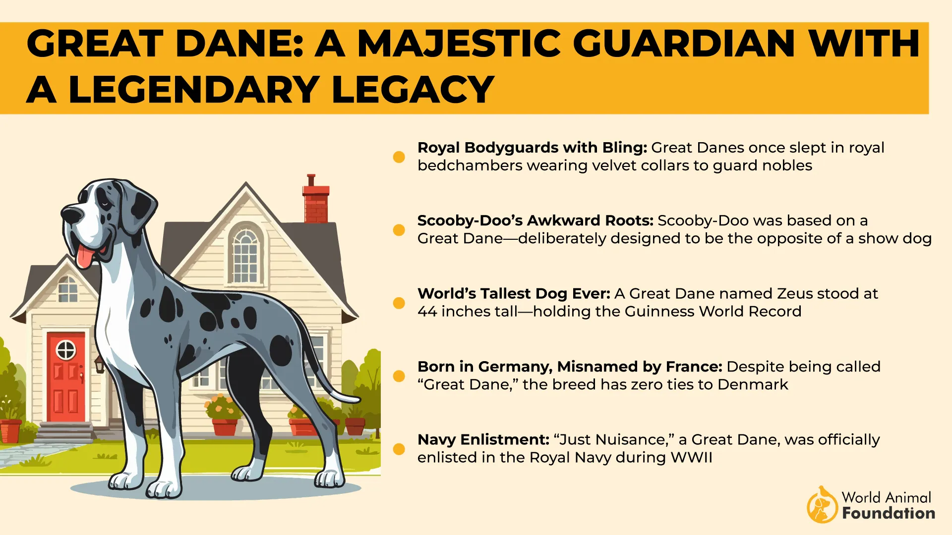 Great Dane A Majestic Guardian with a Legendary Legacy-01