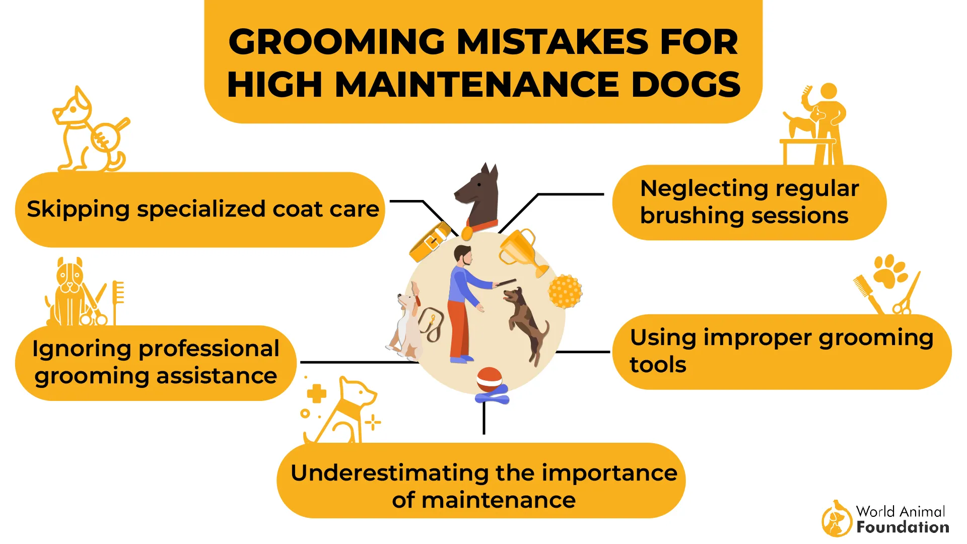 Grooming Mistakes for High Maintenance Dogs-01
