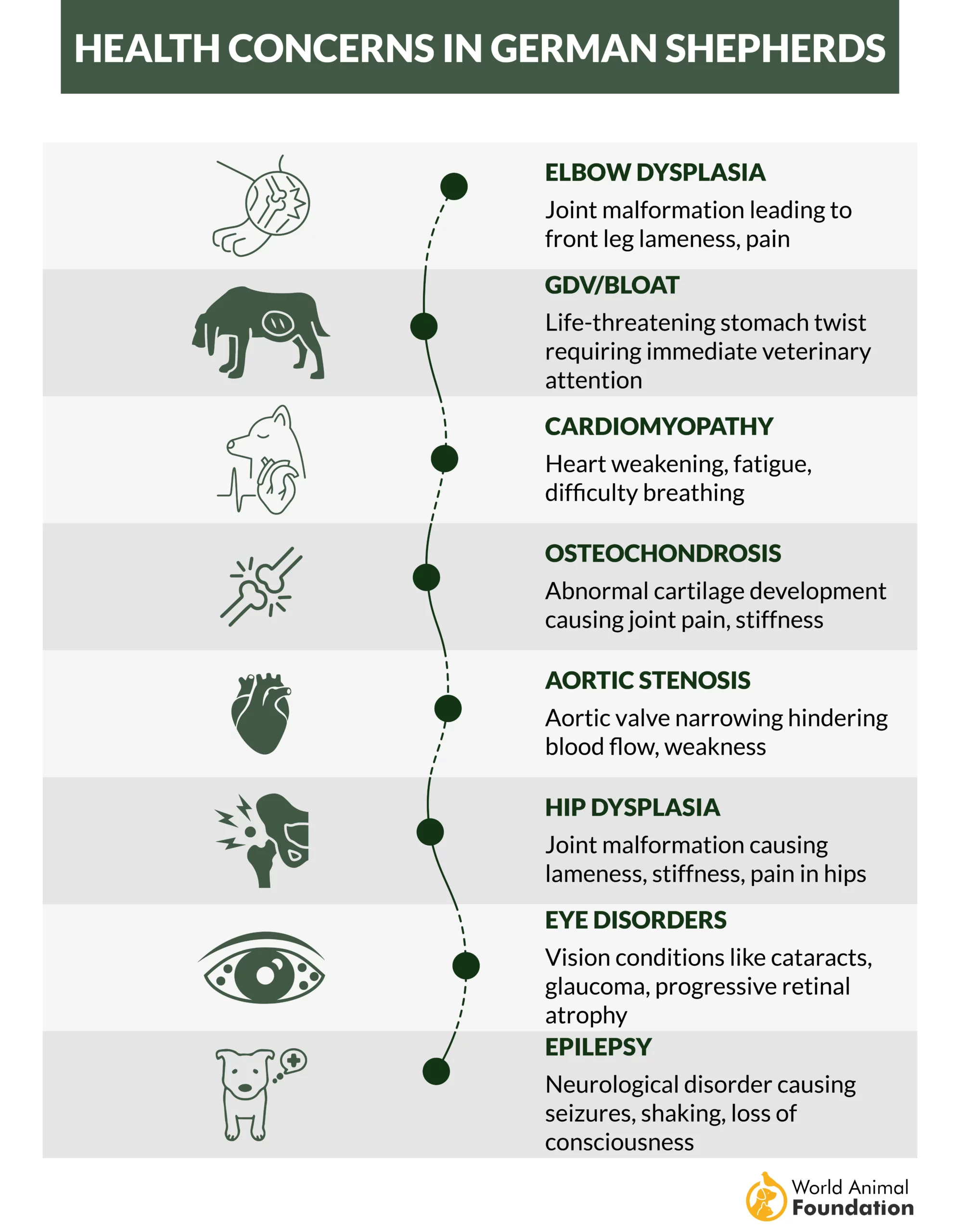 Health Concerns in German Shepherds-01