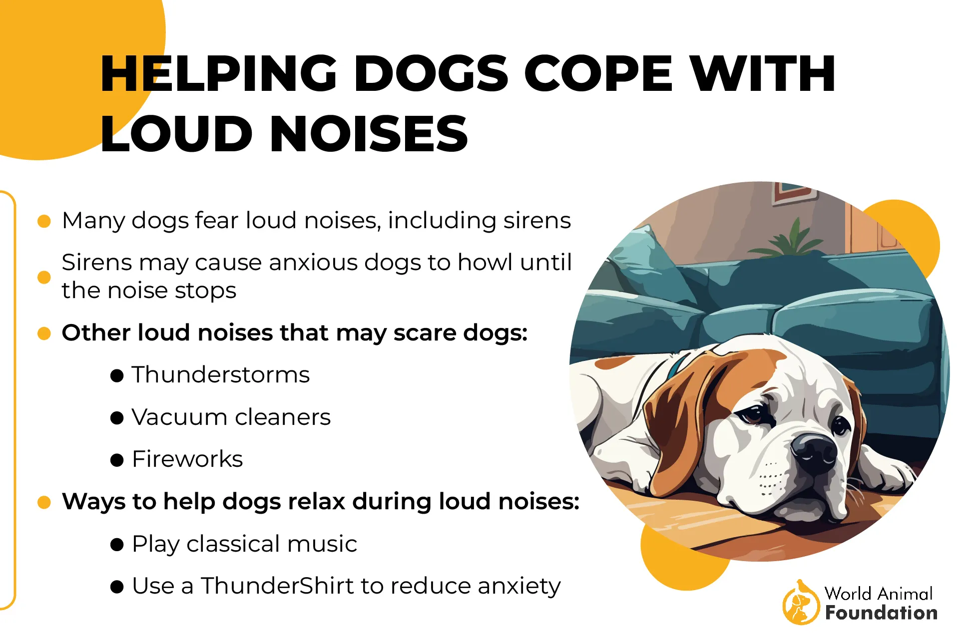 Helping Dogs Cope with Loud Noises-01