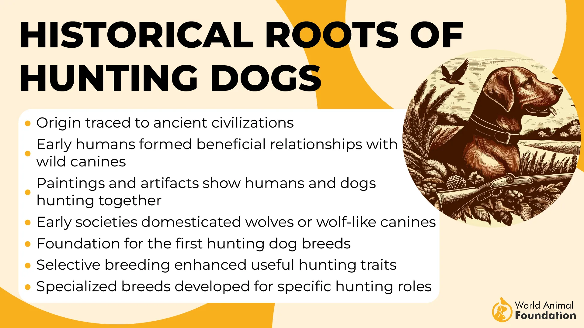 Historical Roots of Hunting Dogs-01