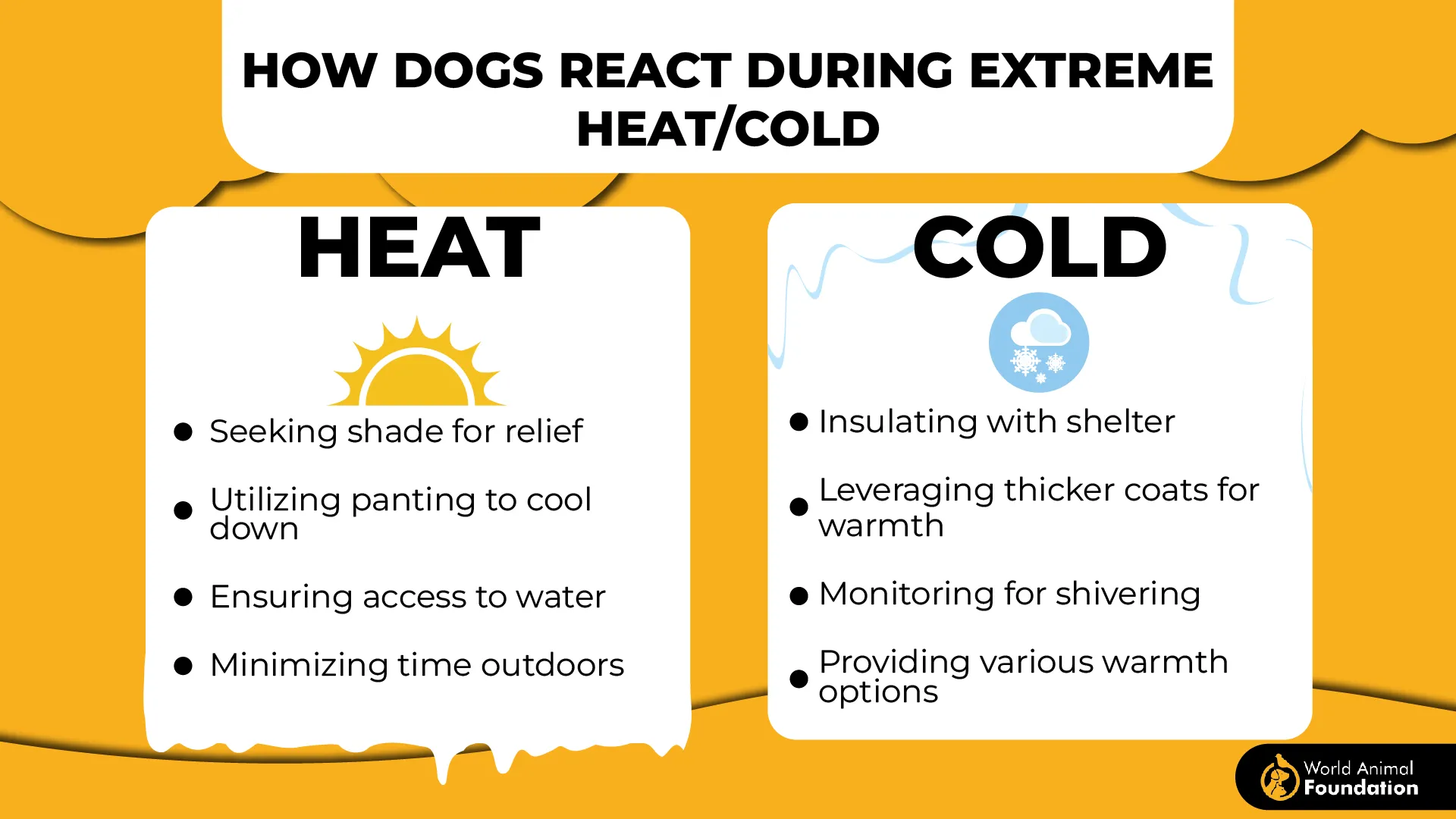 How Dogs react during Extreme Heat Cold-01