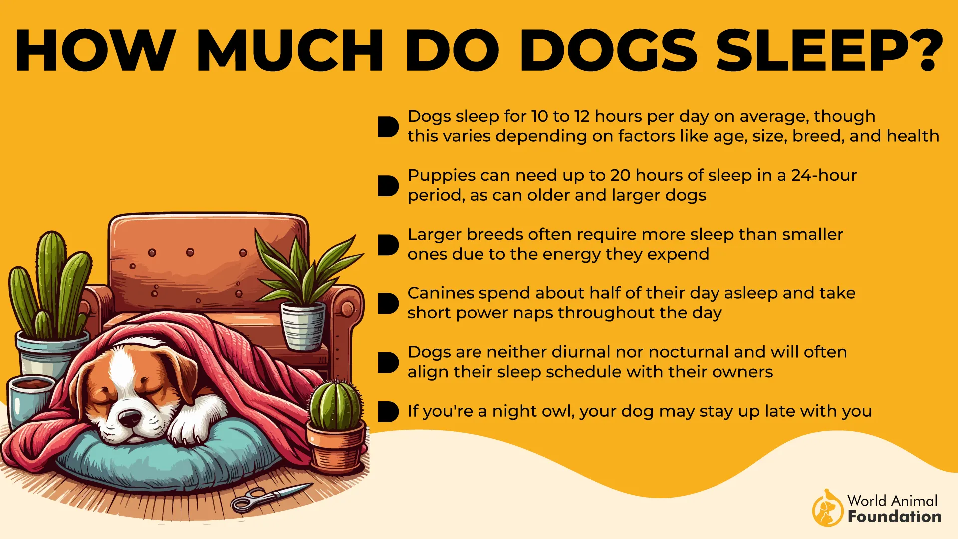 How Much Do Dogs Sleep...-01