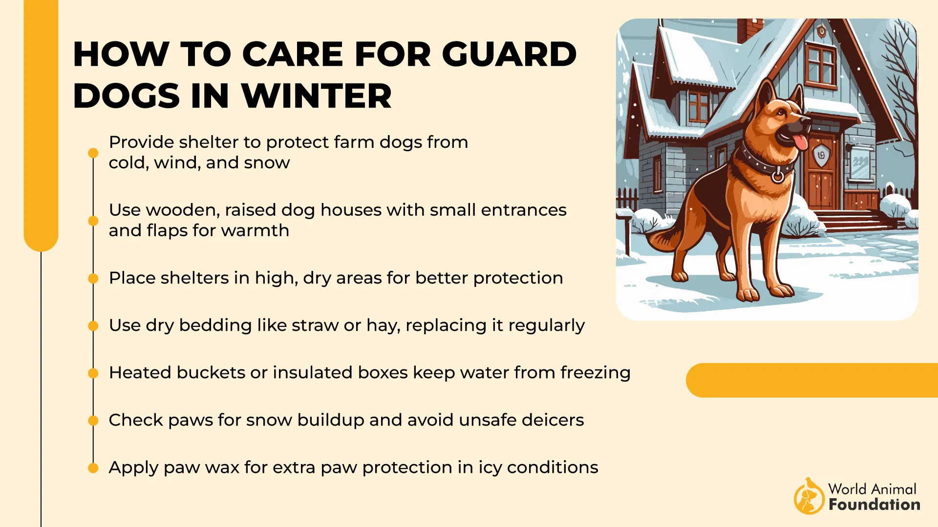 How to Care for Guard Dogs in Winter-01