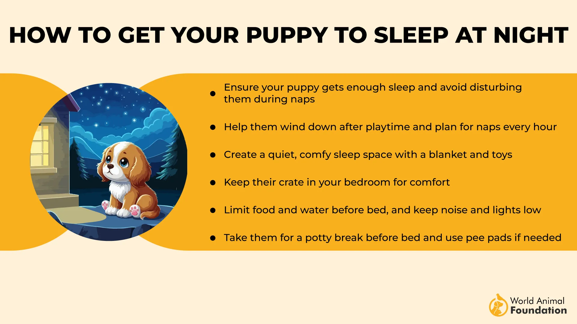 How to Get Your Puppy to Sleep at Night-01