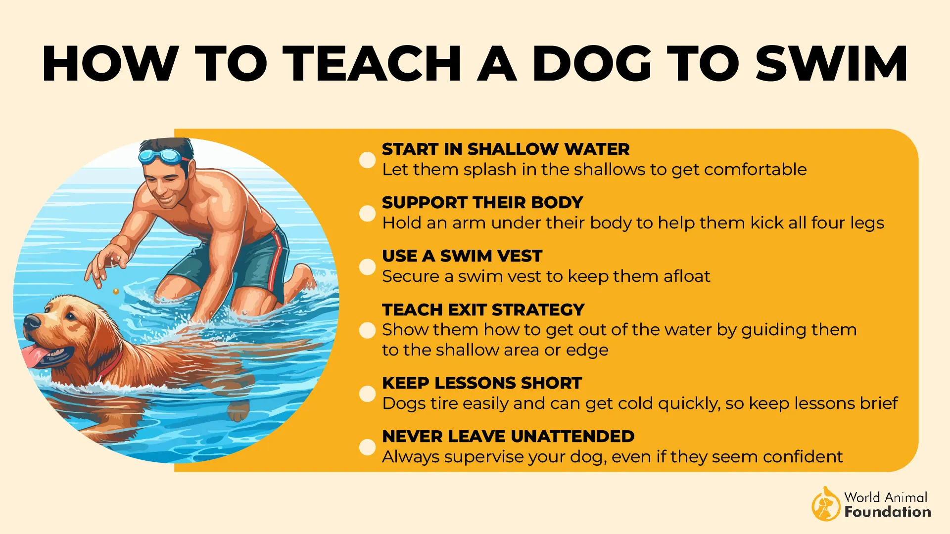 How to Teach a Dog to Swim-01