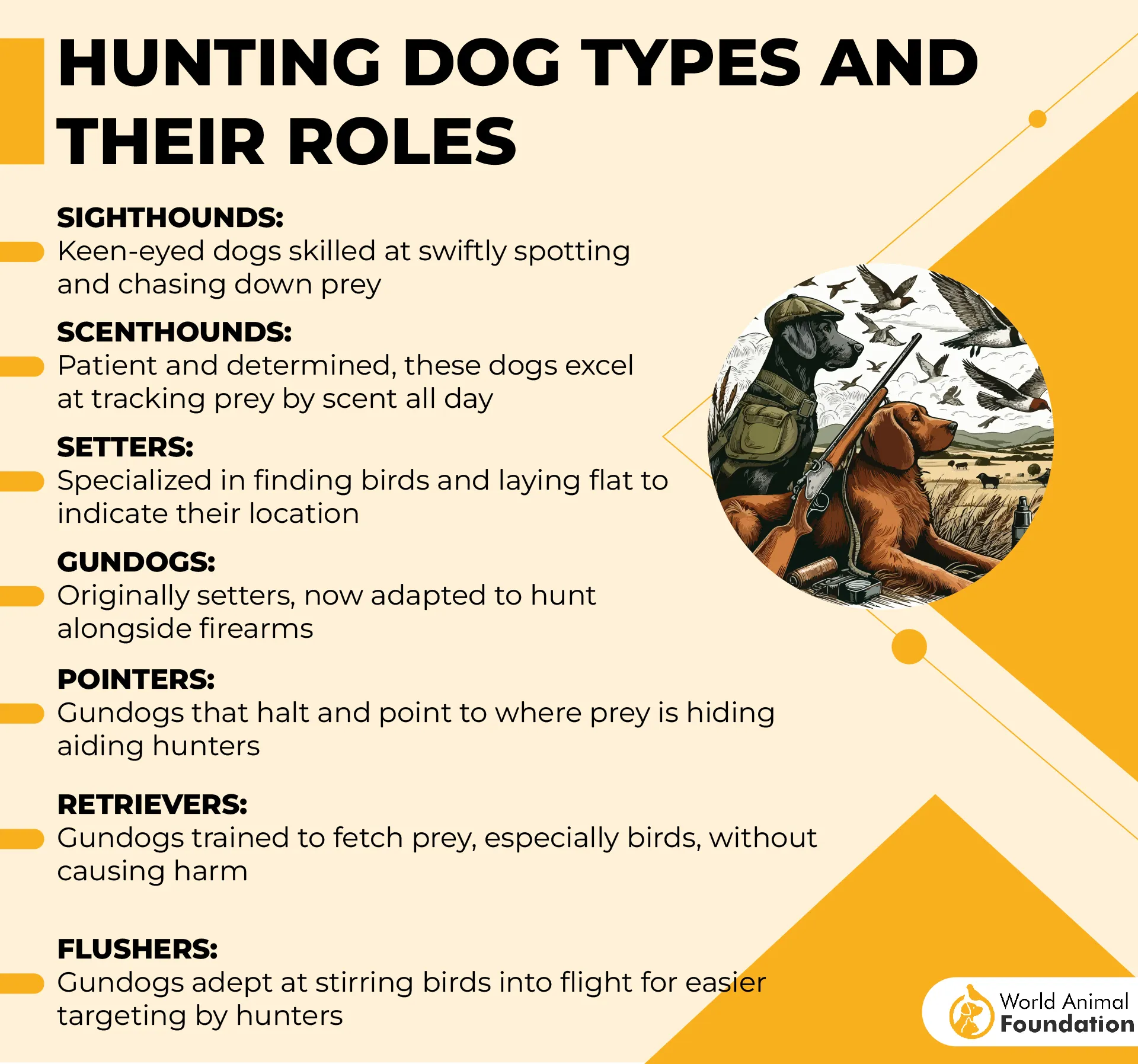 Hunting Dog Types and Their Roles-01