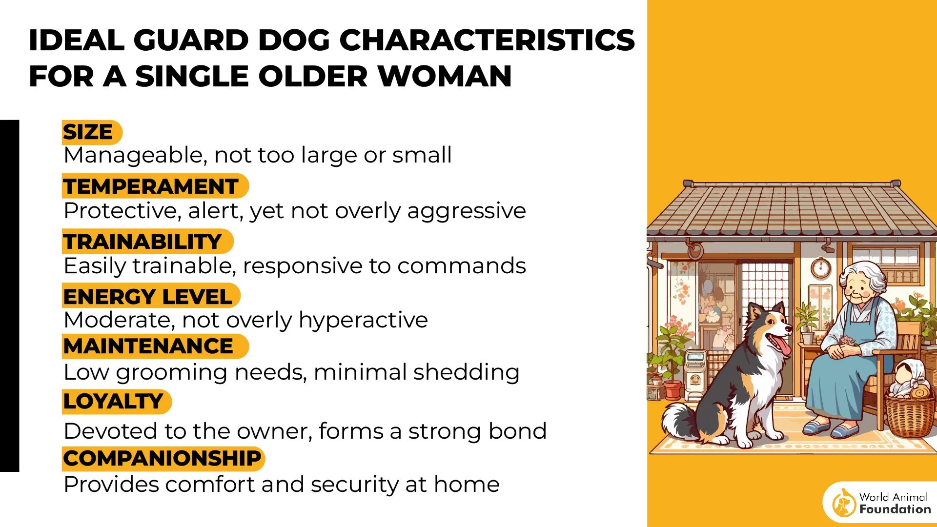 Ideal Guard Dog Characteristics for a Single Older Woman-01