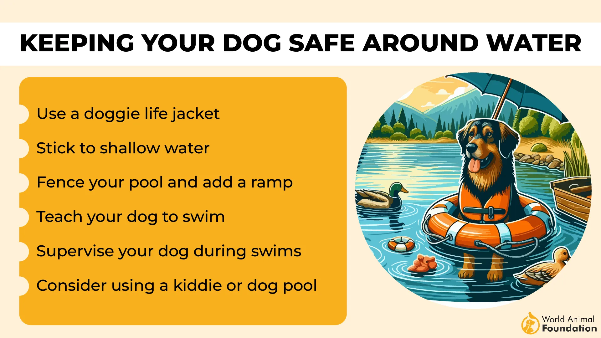 Keeping Your Dog Safe Around Water-01