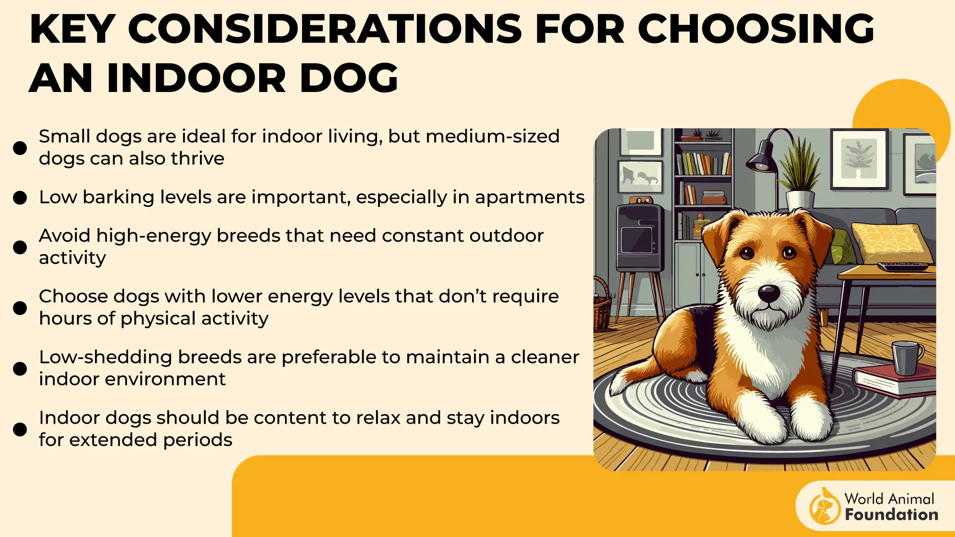 Key Considerations for Choosing an Indoor Dog-01