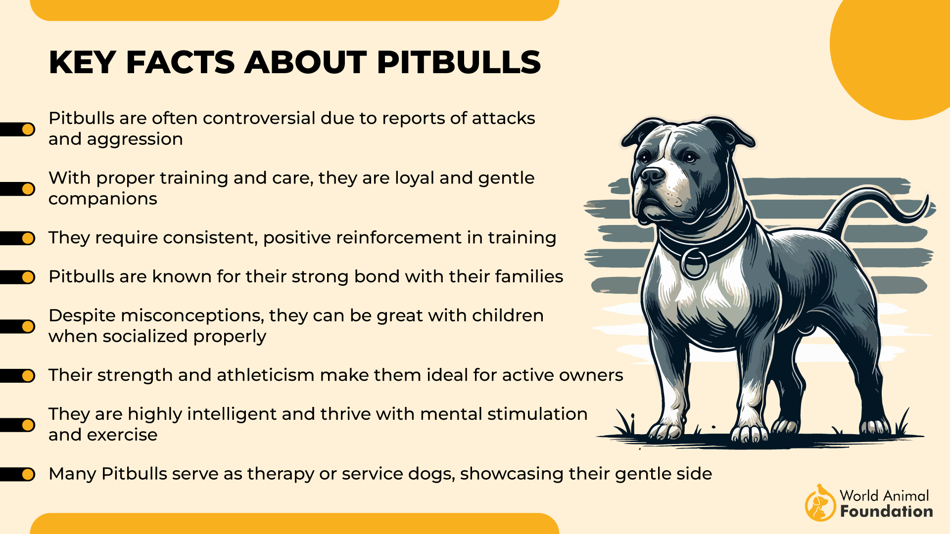Key Facts About Pitbulls-01