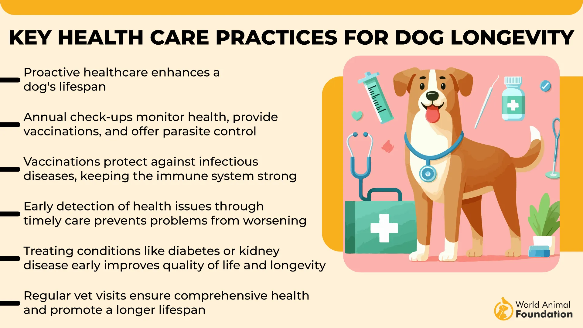 Key Healthcare Practices for Dog Longevity-01