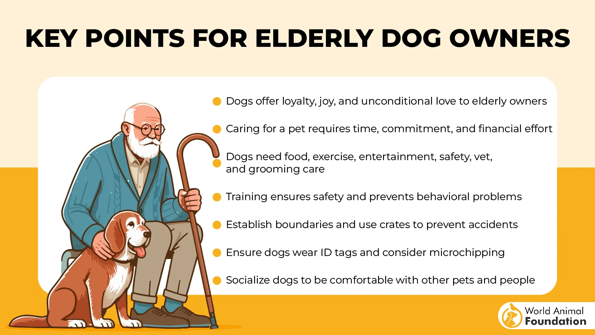 Key Points for Elderly Dog Owners-01