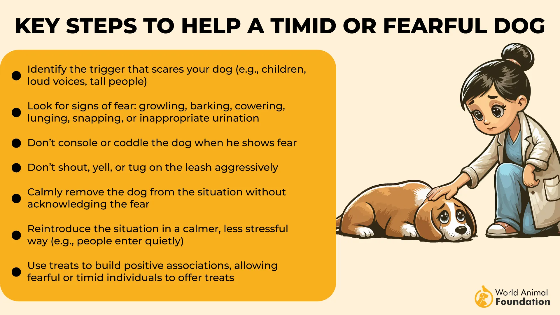 Key Steps to Help a Timid or Fearful Dog-01