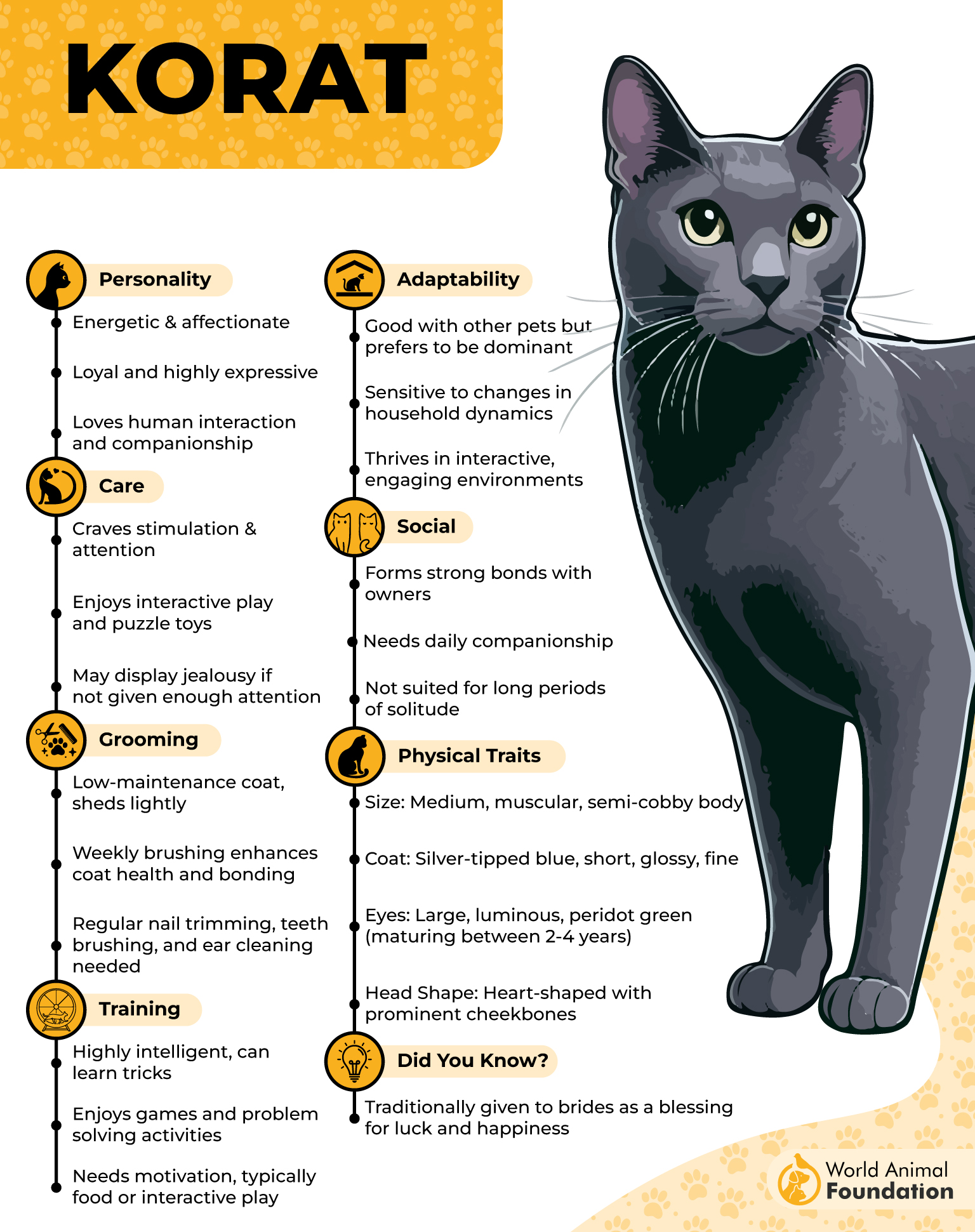 Korat Profile