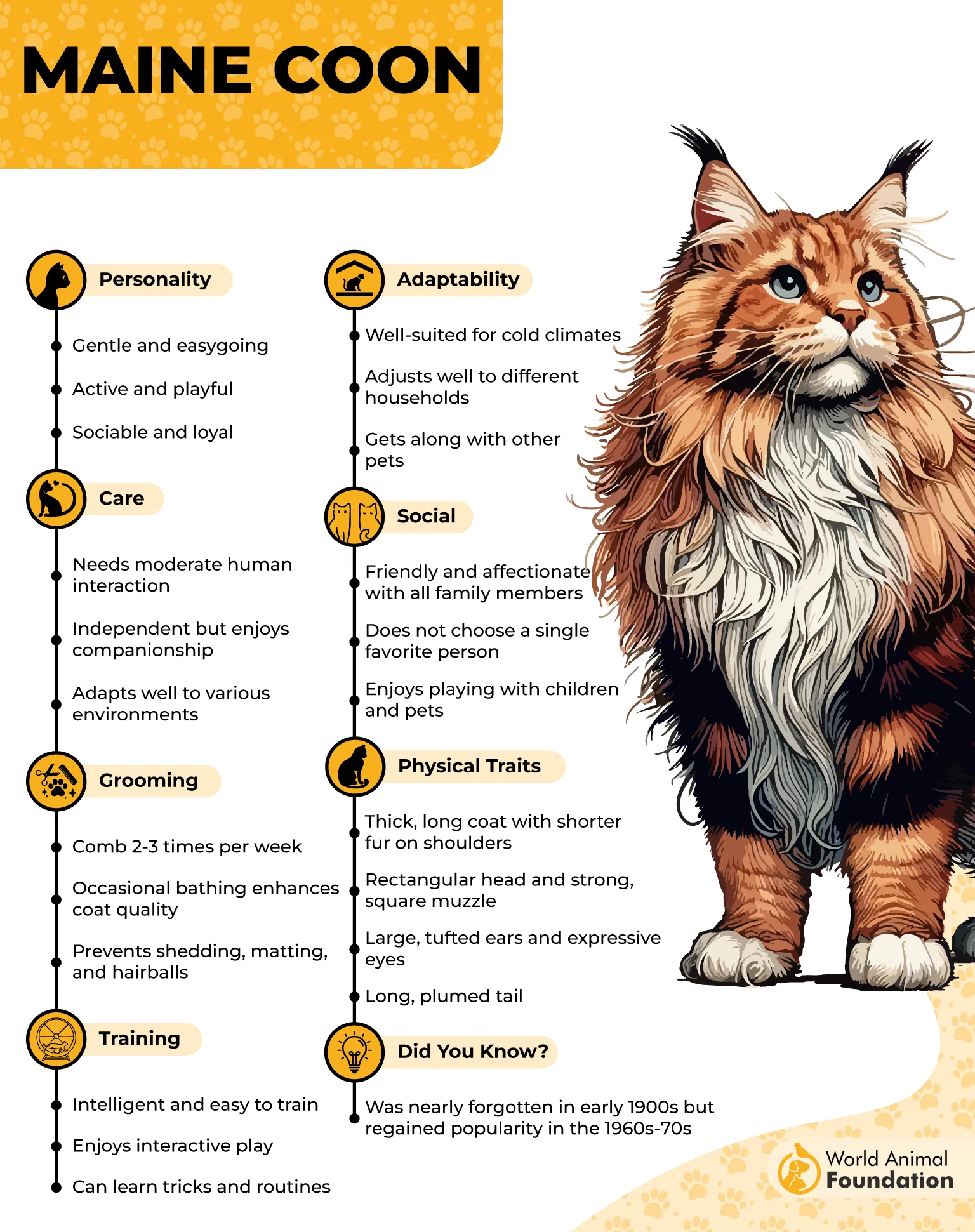 7 Cat Breeds With Bold Personalities
