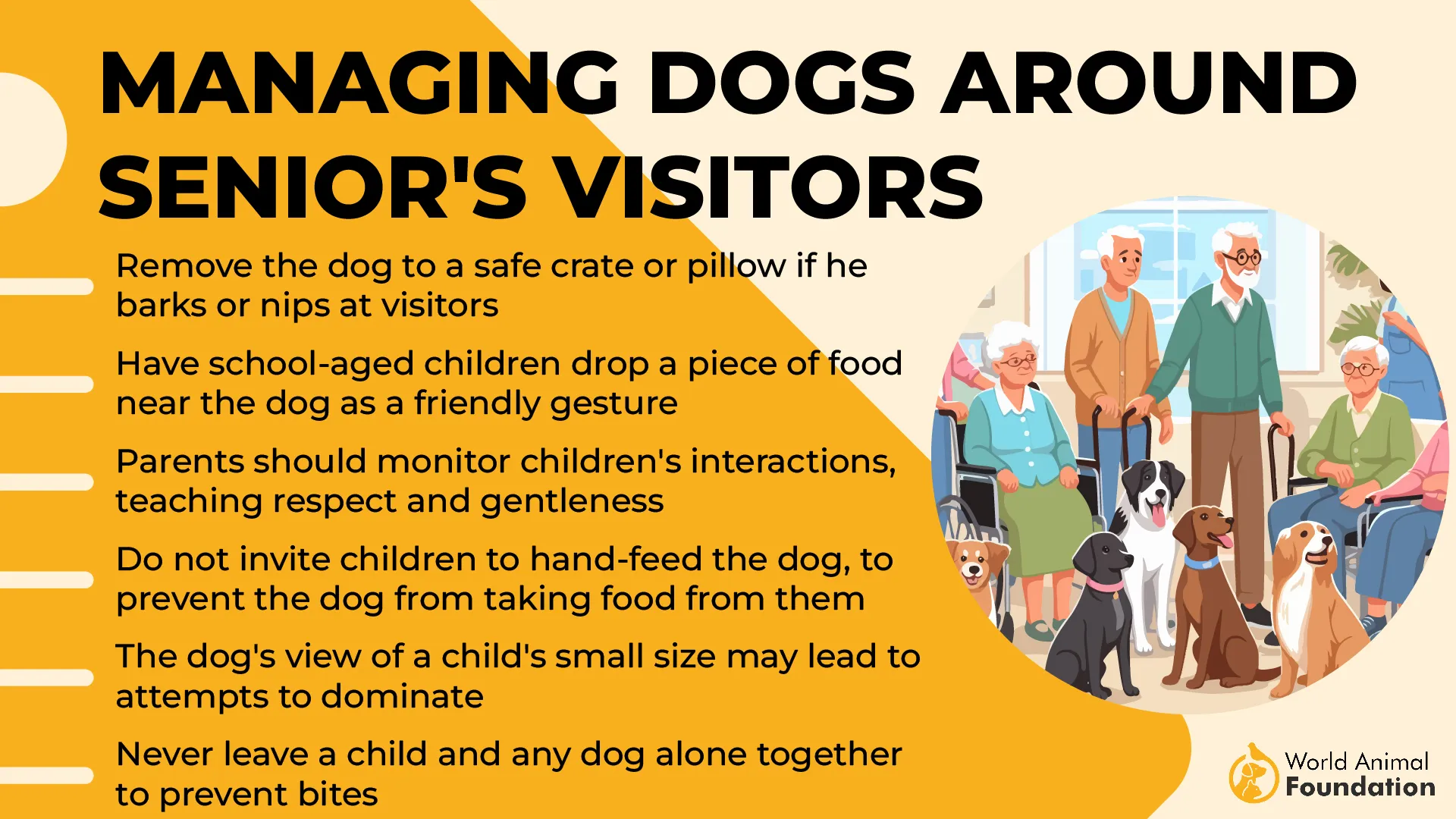 Managing Dogs Around Senior's Visitors-01