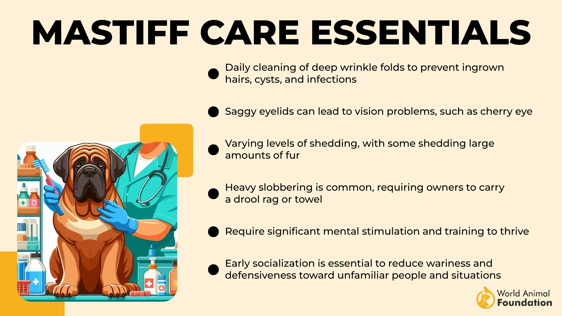 Mastiff Care Essentials-01