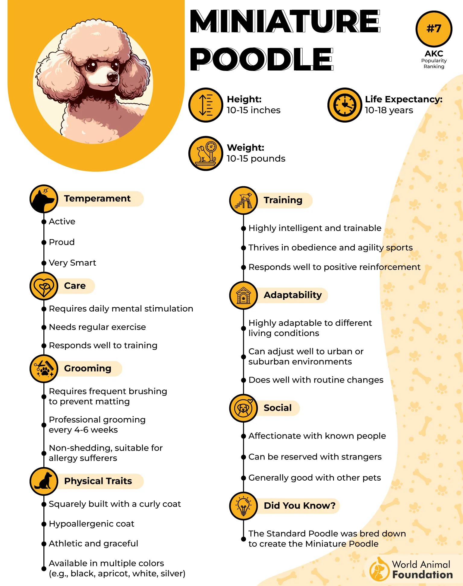 Miniature Poodle Profile