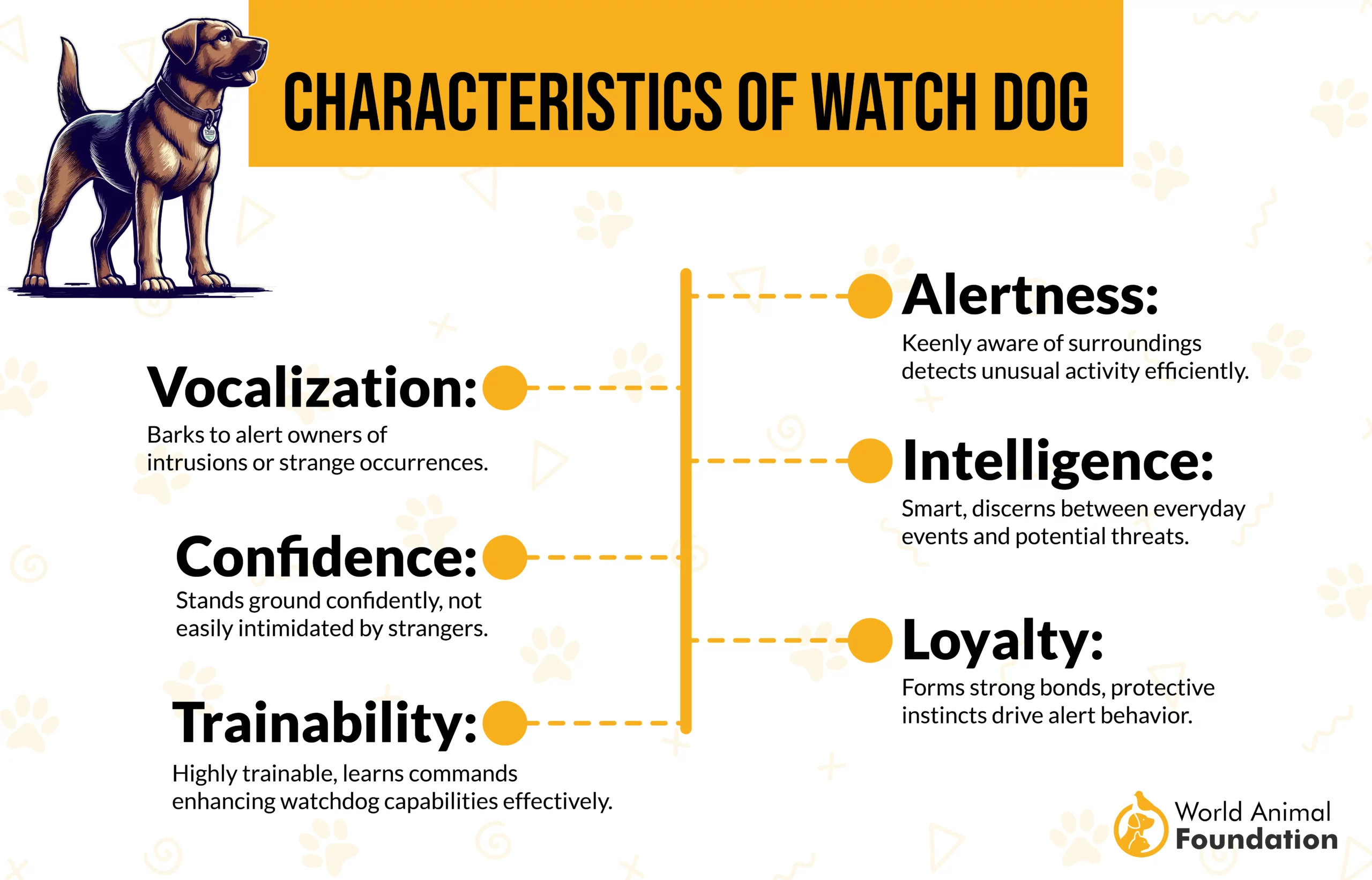 Most Excellent Small Watchdog Breeds 2-01