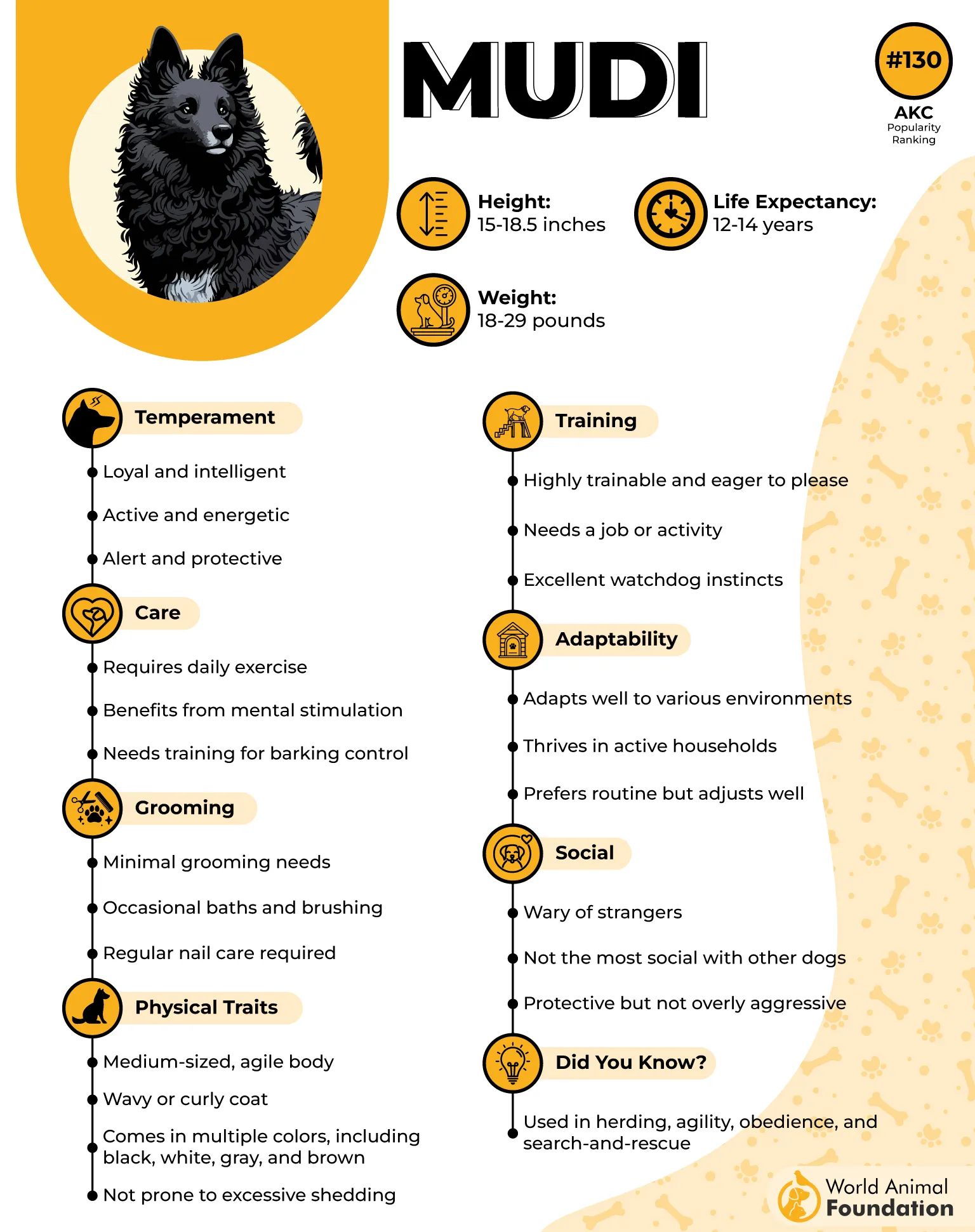 Mudi Profile