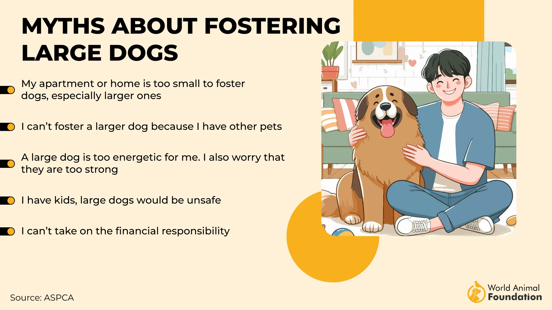 Myths About Fostering Large Dogs-01