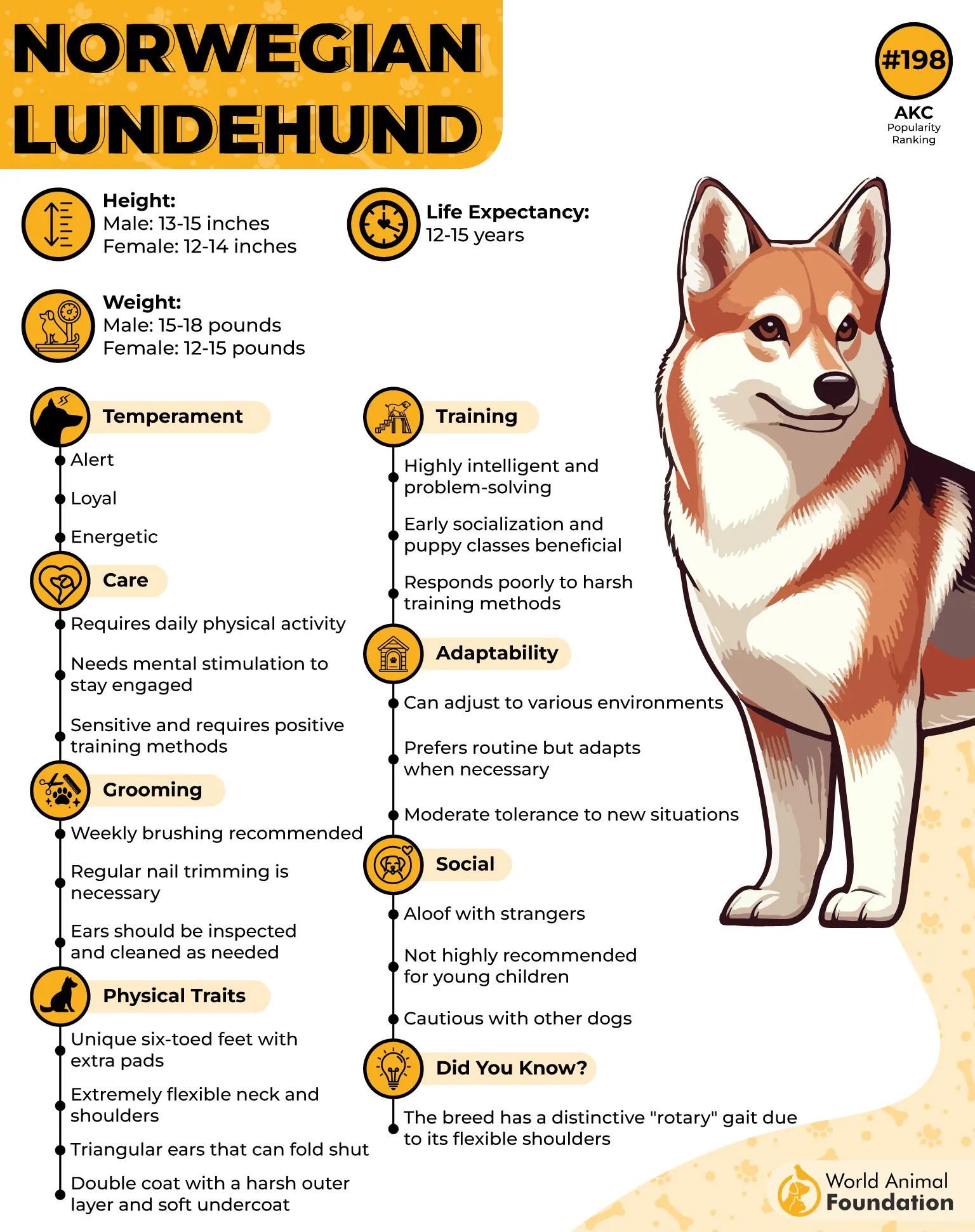 Norwegian Lundehund Profile