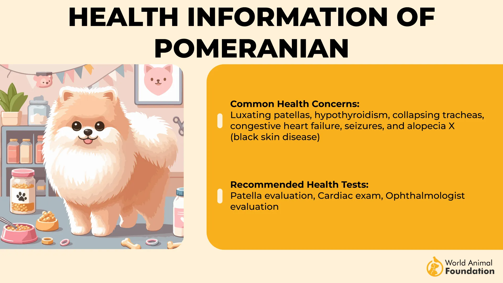 Notable Health Information Pomeranian-01
