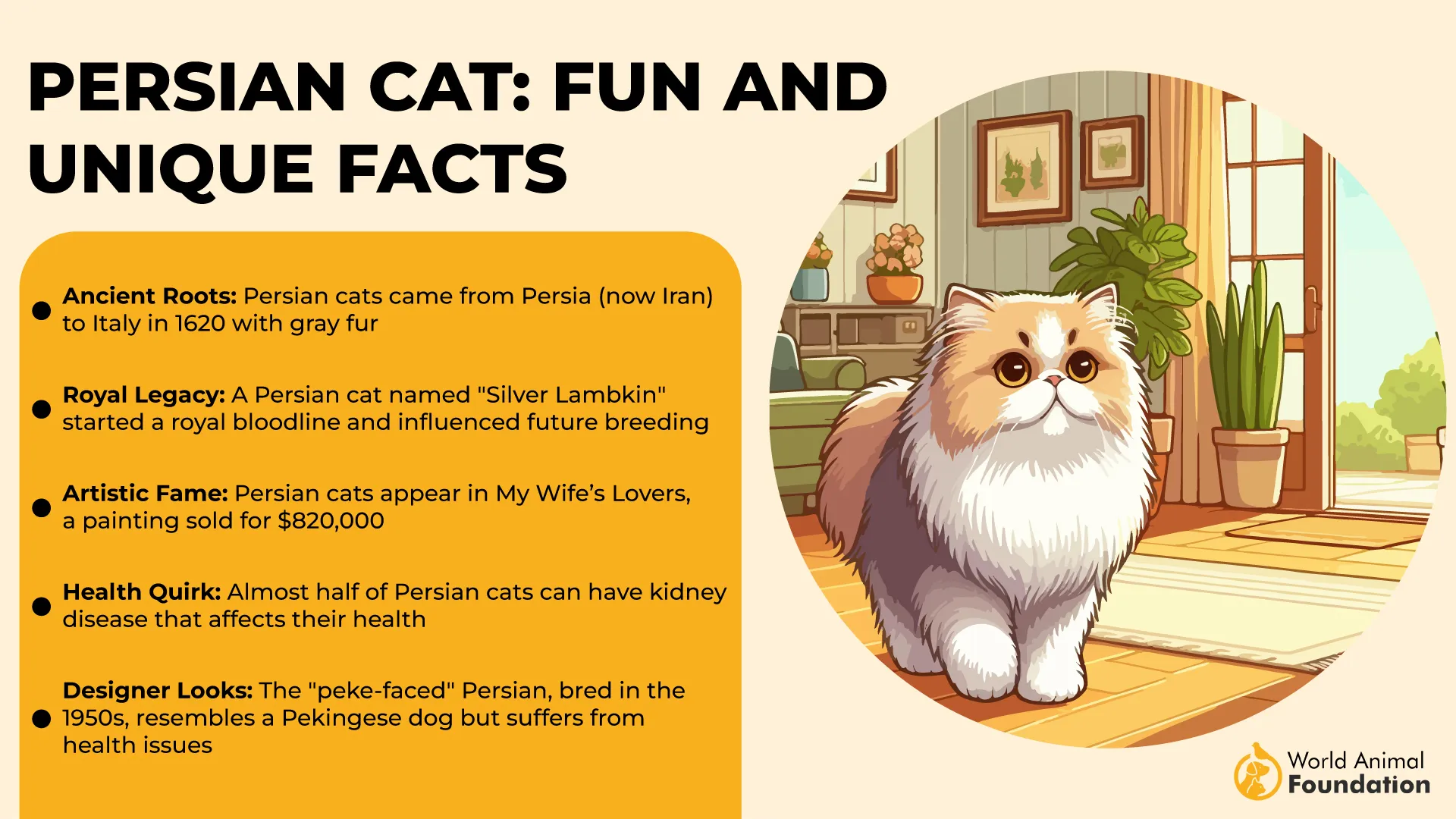 Persian Cat Fun and Unique Facts-01