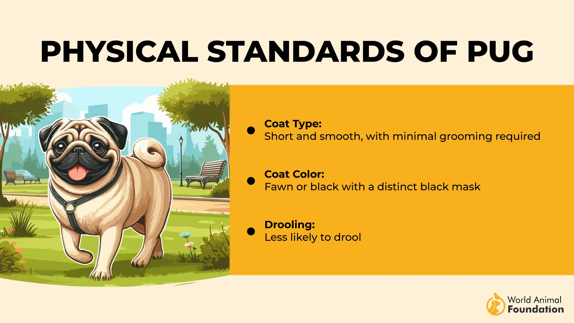 Physical Standards of Pug-01