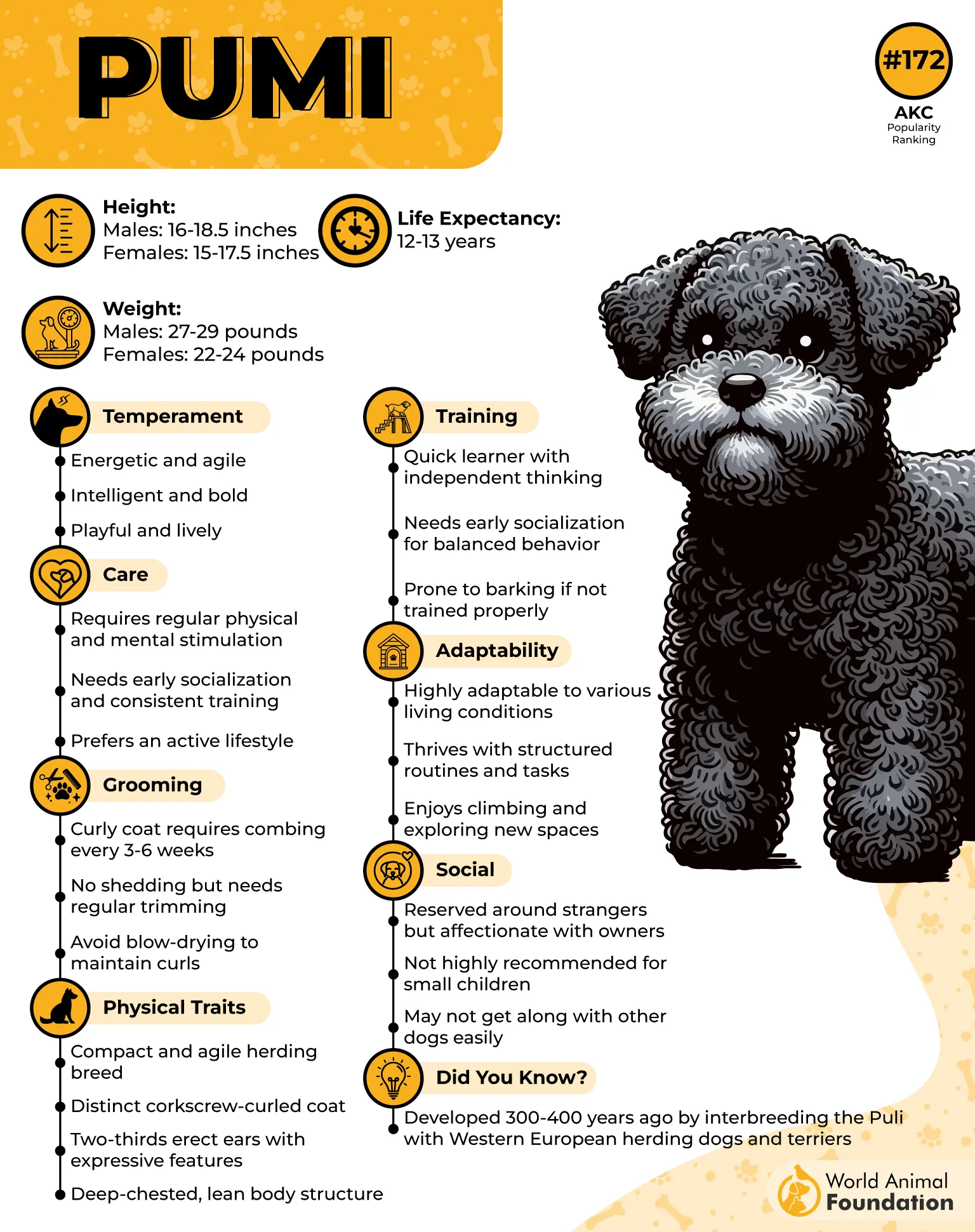 Pumi Profile
