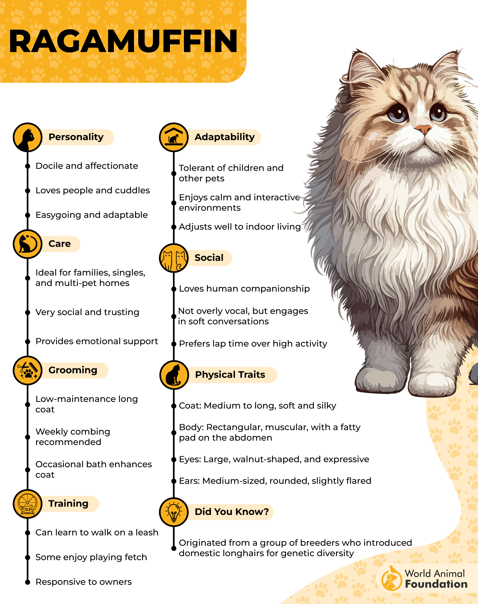 Ragamuffin Profile
