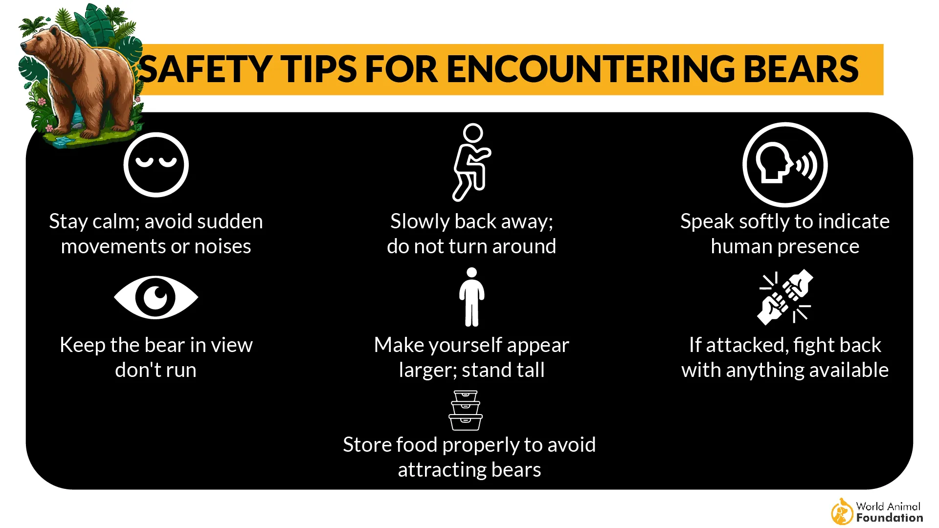 Safety Tips for Encountering Bears-01