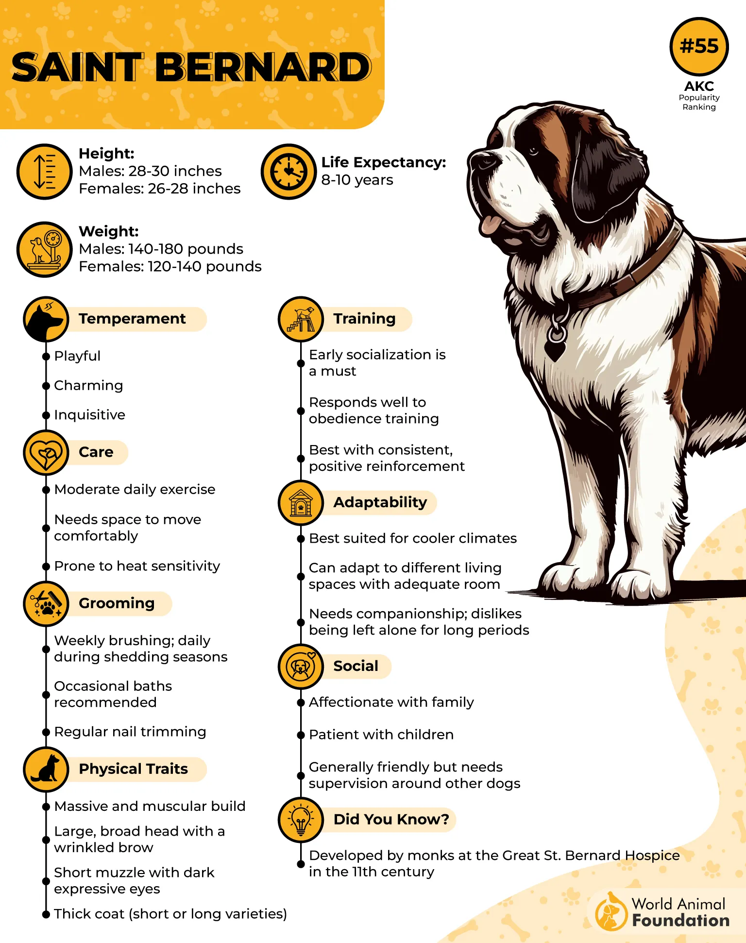 7 Scary Dog Breeds That Are Sweet Tededer 7 Scary Dog Breeds That Are Sweet Tededer