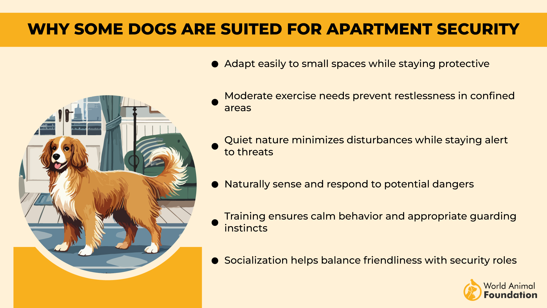 Security and Space Tips for Apartment Dogs-01