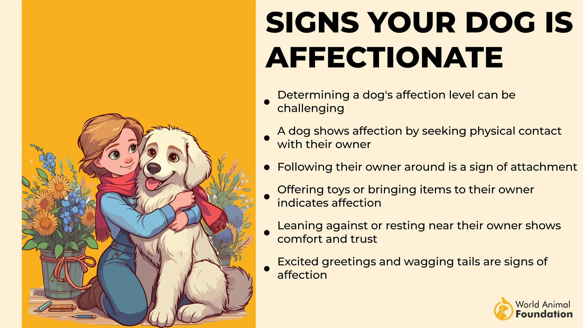Signs Your Dog is Affectionate-01