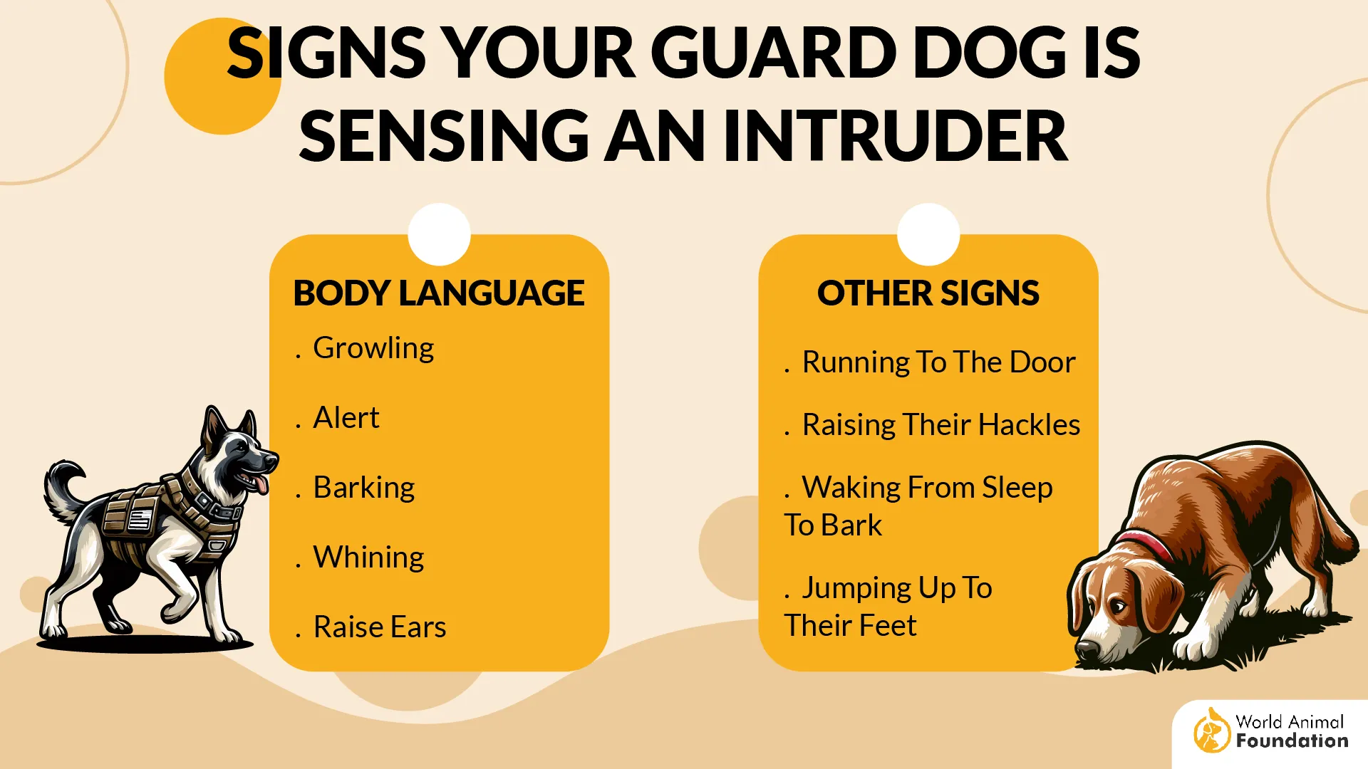 Signs Your Guard Dog is Sensing an Intruder-01