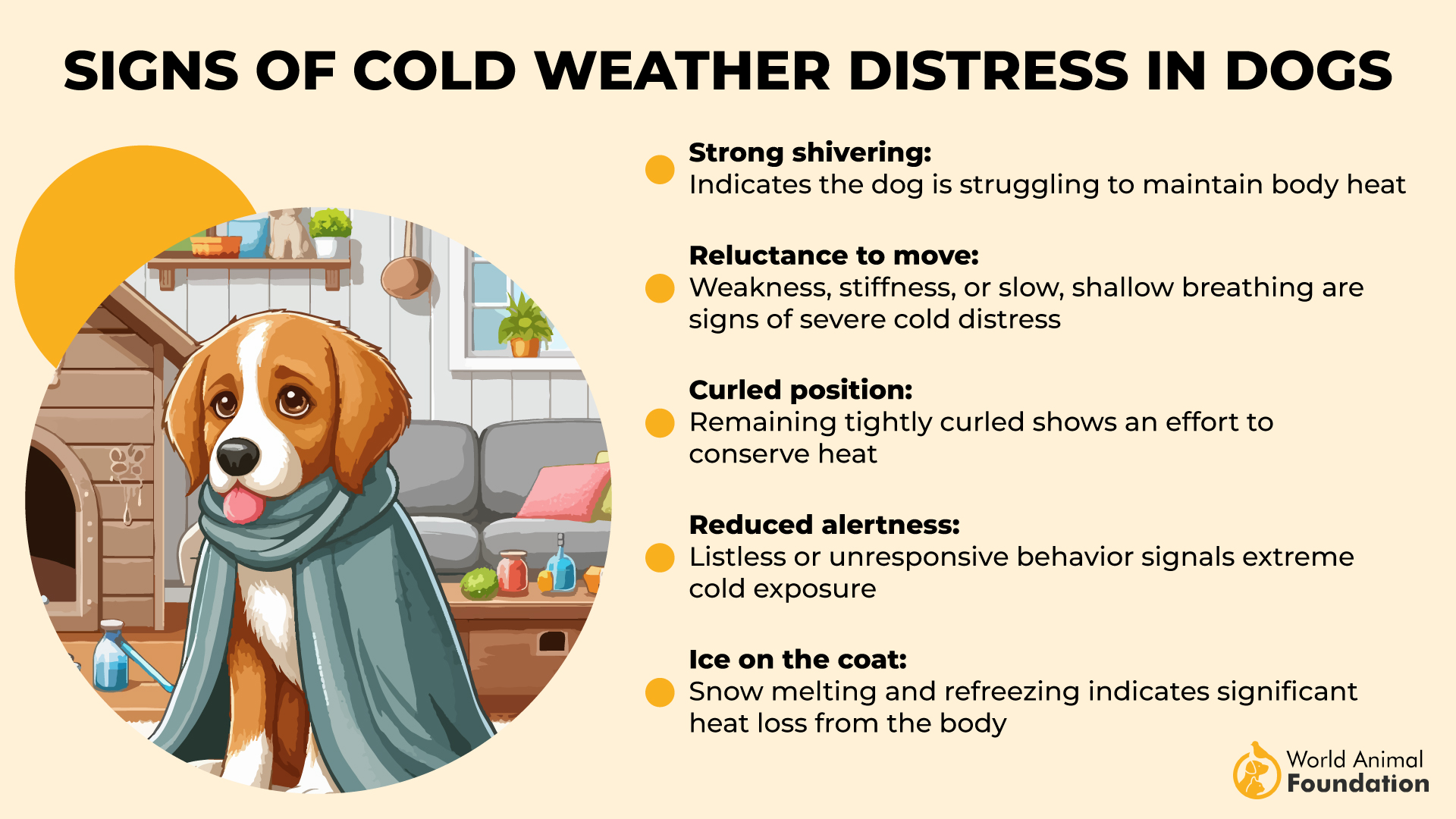 Signs of Cold Weather Distress in Dogs-01