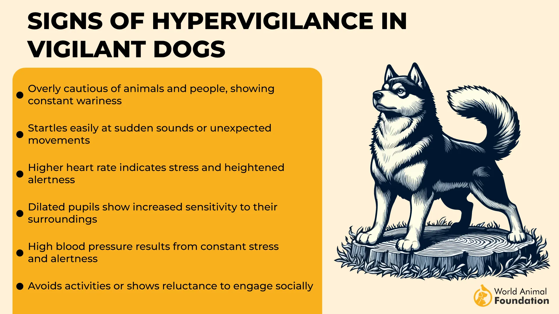 Signs of Hypervigilance in Vigilant Dogs-01