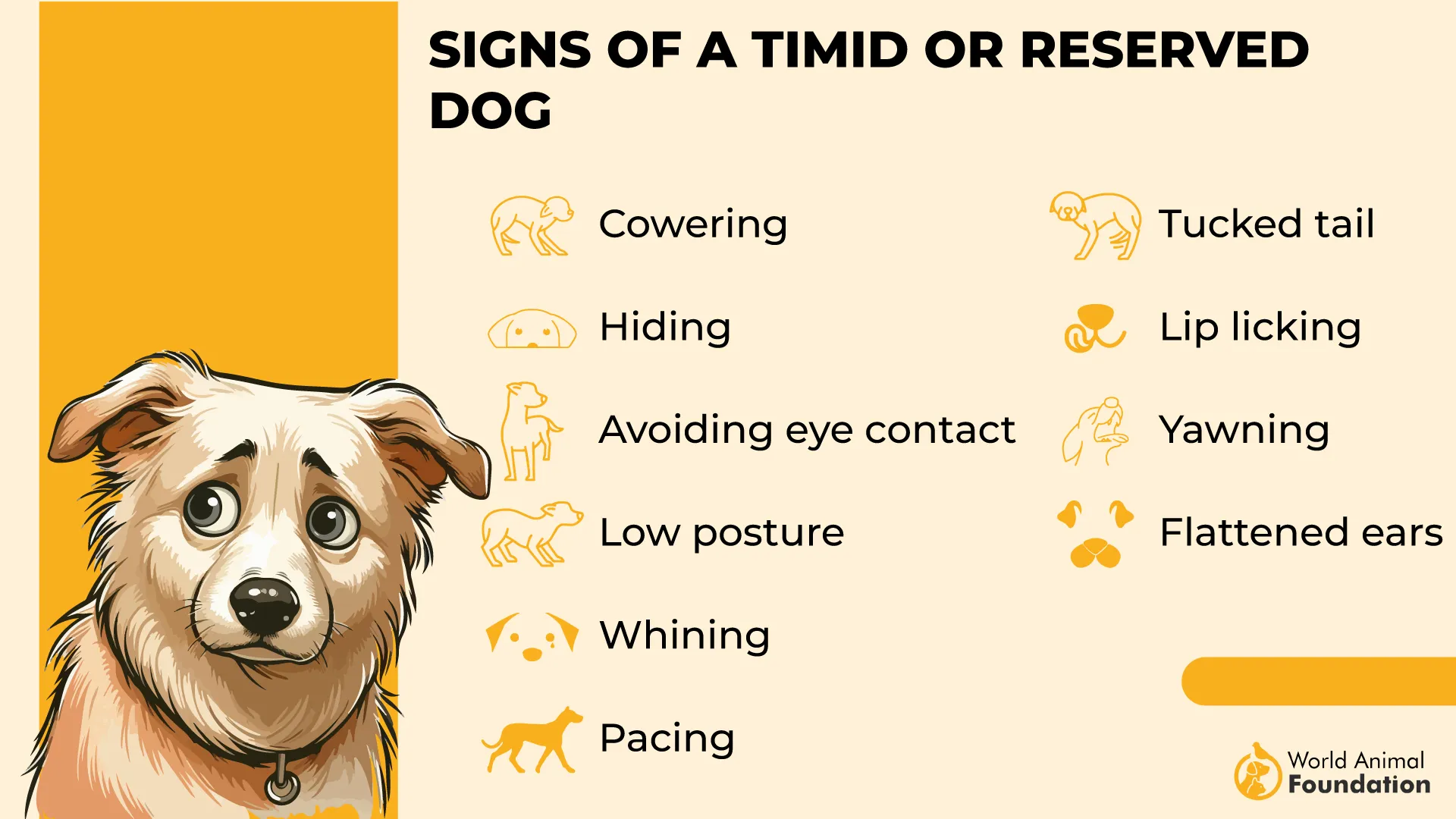 Signs of a Timid or Reserved Dog-01