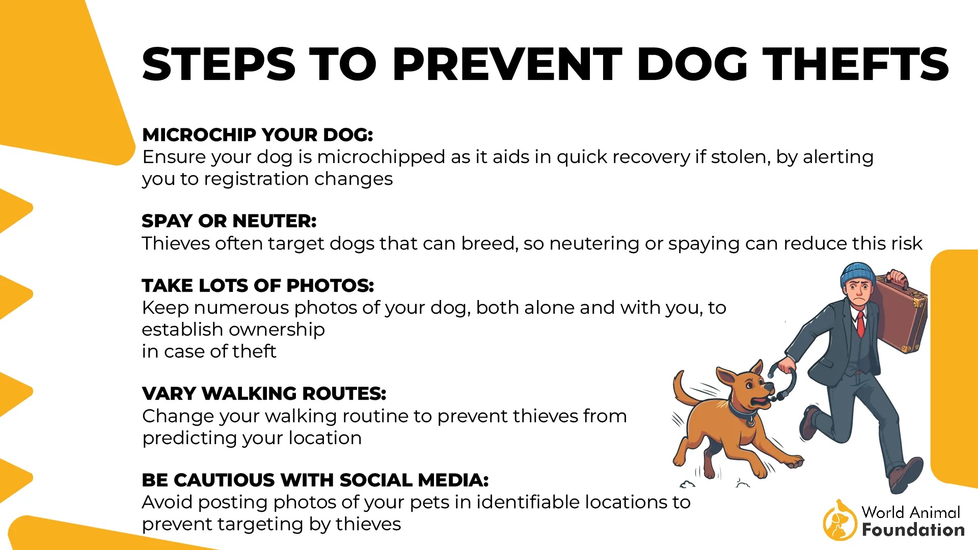 Steps to Prevent Dog Thefts-01