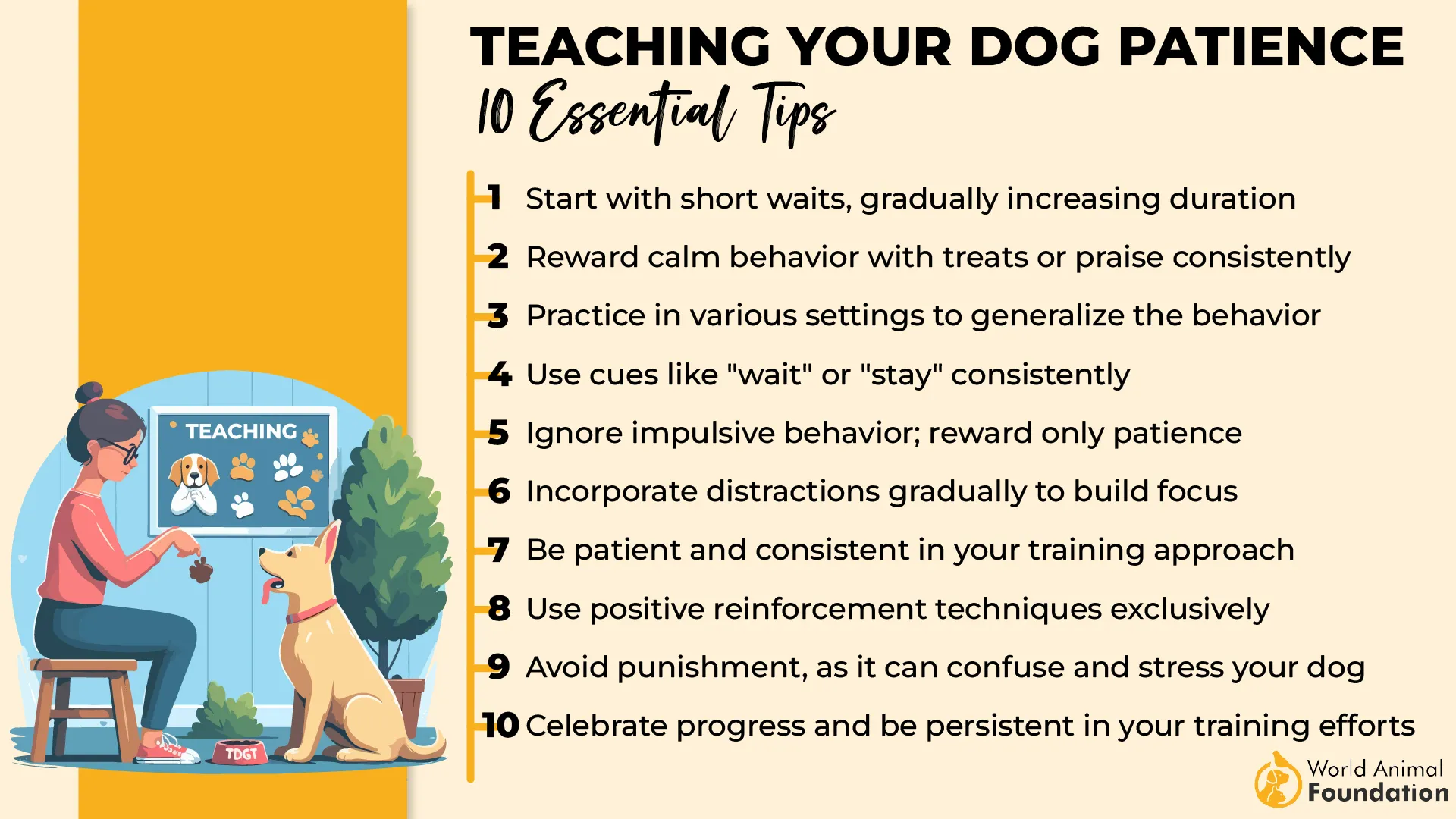 Teaching Your Dog Patience 10 Essential Tips-01