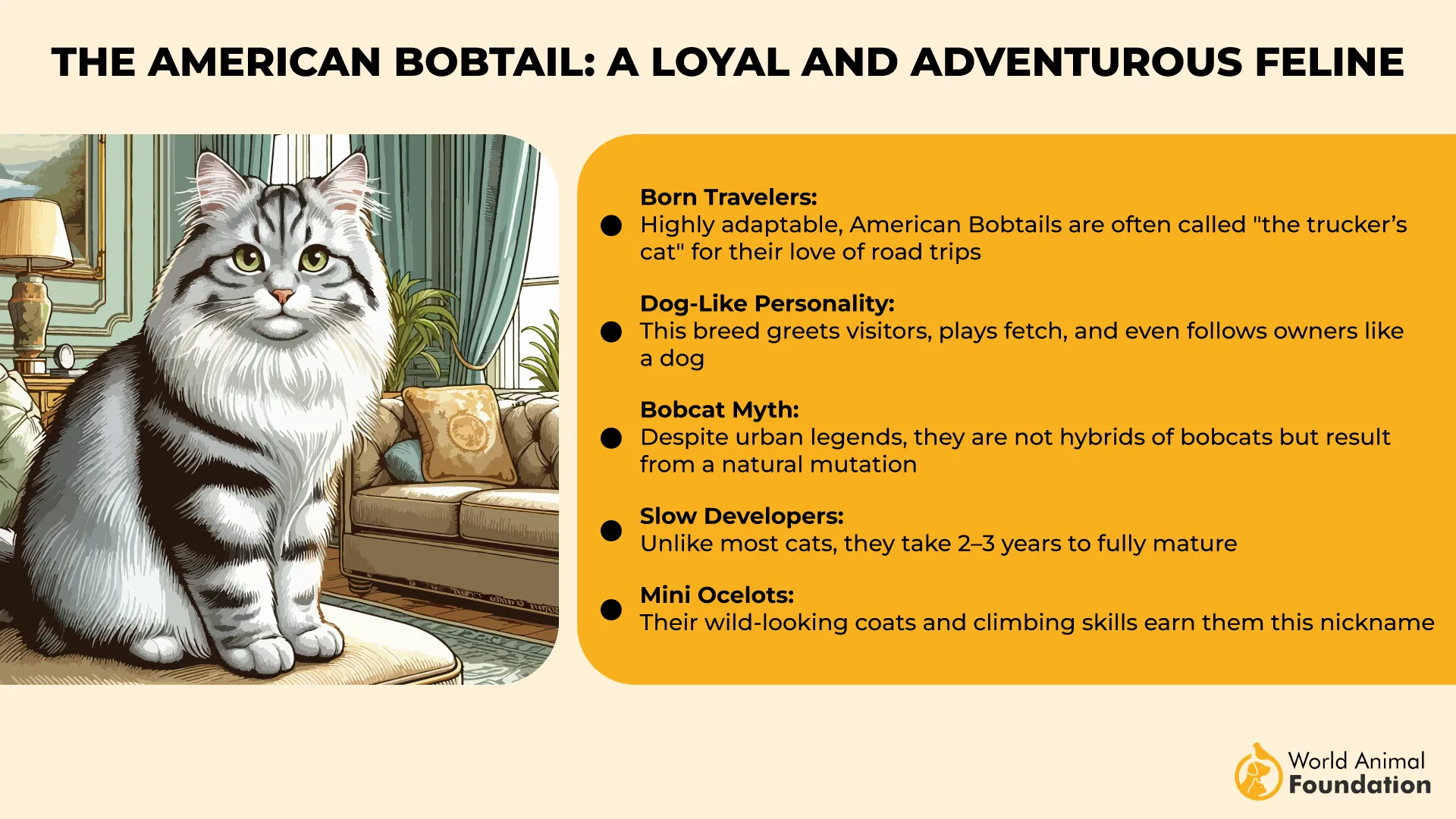 The American Bobtail A Loyal and Adventurous Feline-01