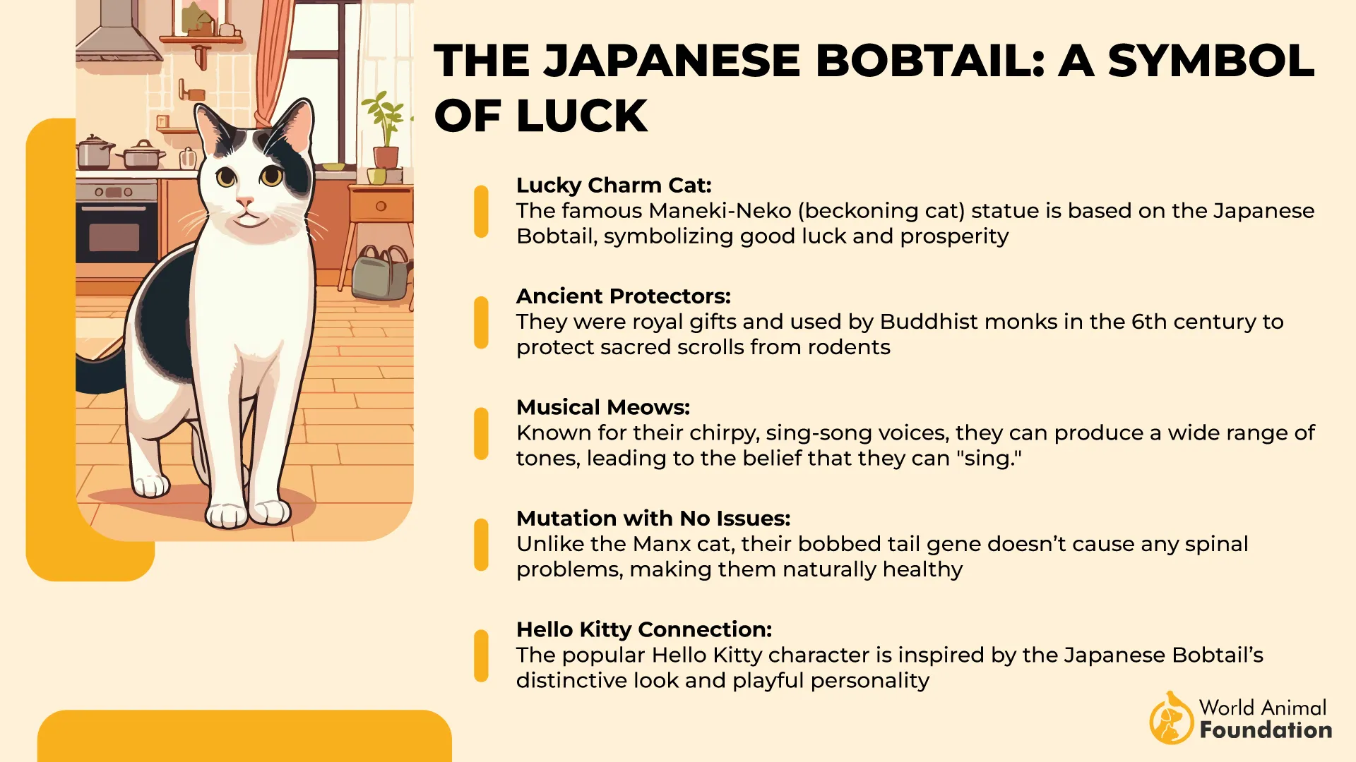 The Japanese Bobtail A Symbol of Luck, History, and Playfulness-01